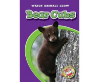 Bear_Cubs
